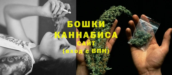 дурь Киреевск