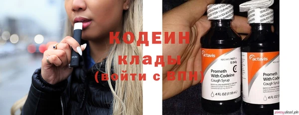 дурь Киреевск