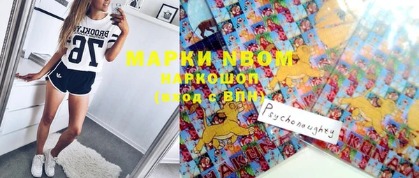 прущие грибы Кинешма