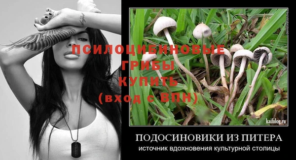 дурь Киреевск