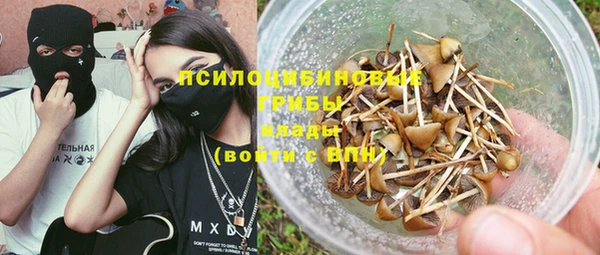дурь Киреевск