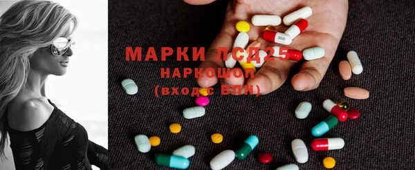 прущие грибы Кинешма