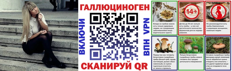 Купить  Краснотурьинск  Псилоцибиновые грибы Cubensis 